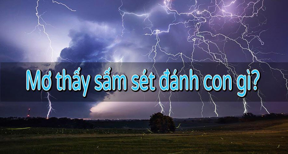 Chọn số đẹp theo giấc mơ Chọn số đẹp theo giấc mơ